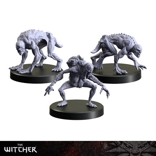 The Witcher - Necrophages 3: Grave Hag