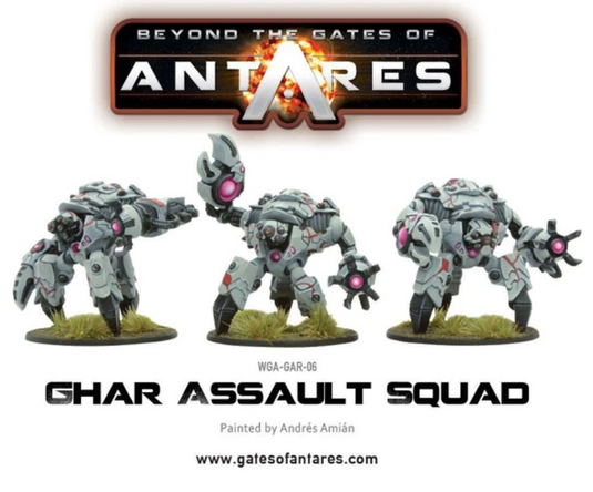 Ghar Assault Squad