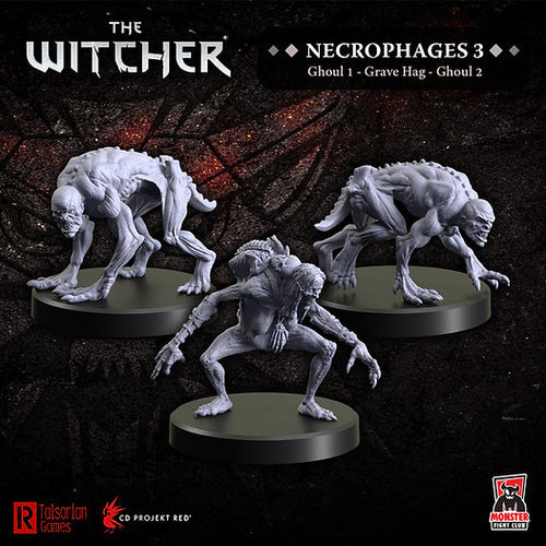 The Witcher - Necrophages 3: Grave Hag