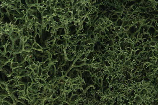 Woodland Scenics Lichen - Medium Green