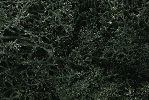 Woodland Scenics Lichen - Dark Green
