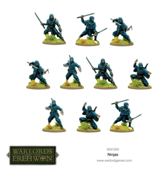 Warlords of Erehwon: Ninjas