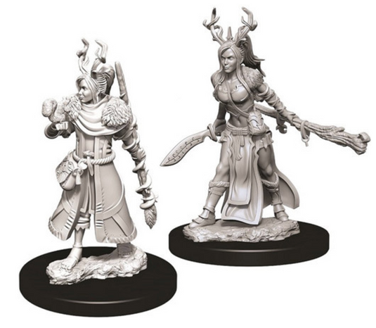 D&D Nolzur's Marvelous Unpainted Miniatures: W9 Female Human Druid