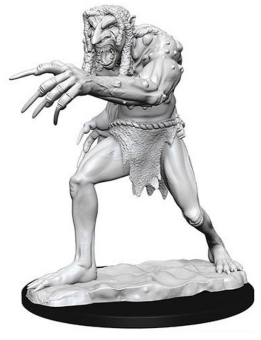 D&D Nolzur's Marvelous Unpainted Minis: W12.5 Troll