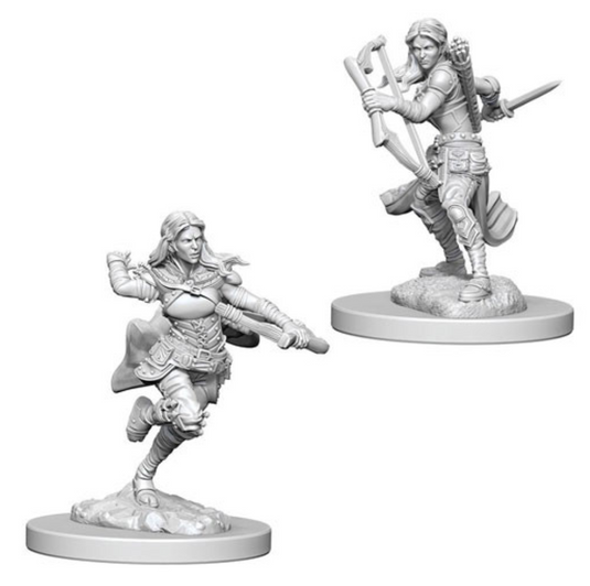 D&D Nolzur's Marvelous Unpainted Minis: W4 Air Genasi Female Rogue