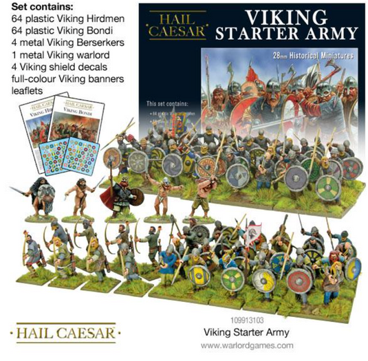 Viking Starter Army