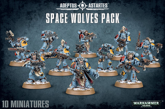 Space Wolves: Grey Hunters