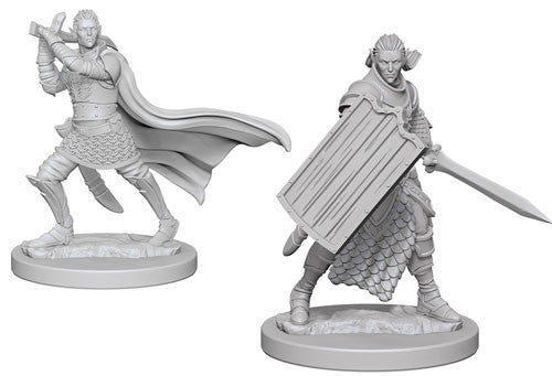 Pathfinder Battles Deep Cuts Unpainted Minis: W2 Elf Male Paladin