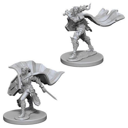 Pathfinder Battles Deep Cuts Unpainted Minis: W4 Elf Female Paladin