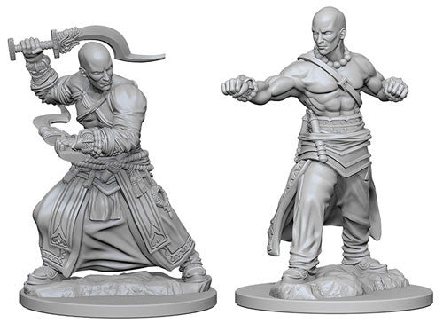 Pathfinder Battles Deep Cuts Unpainted Minis: W1 Human Male Monk