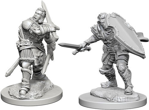 D&D Nolzur's Marvelous Unpainted Miniatures: W3 Human Male Paladin