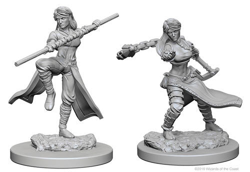 D&D Nolzur's Marvelous Unpainted Miniatures: W1 Human Female Monk