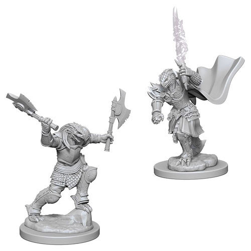 D&D Nolzur's Marvelous Unpainted Miniatures: W4 Dragonborn Female Fighter