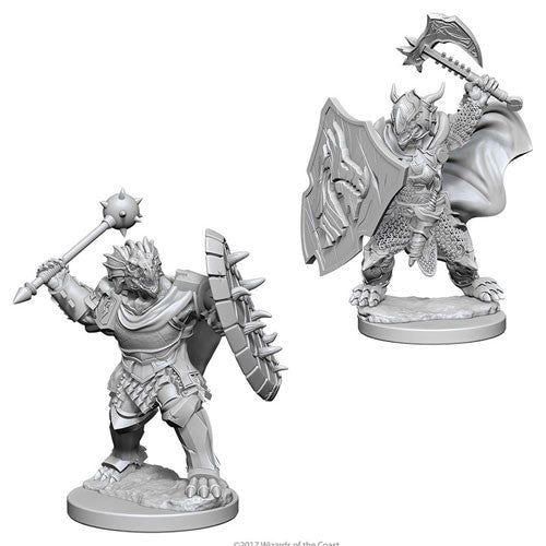 D&D Nolzur's Marvelous Unpainted Miniatures: W4 Dragonborn Male Paladin