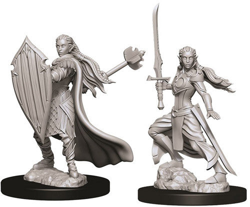 D&D Nolzur's Marvelous Unpainted Miniatures: W9 Female Elf Paladin