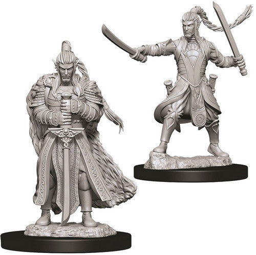 D&D Nolzur's Marvelous Unpainted Miniatures: W9 Male Elf Paladin