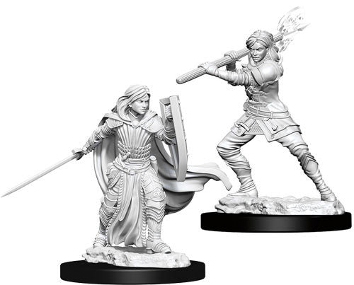 D&D Nolzur's Marvelous Unpainted Miniatures: W10 Female Human Paladin