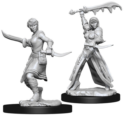 D&D Nolzur's Marvelous Unpainted Miniatures: W10 Female Human Rogue
