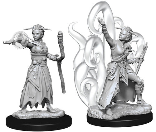 D&D Nolzur's Marvelous Unpainted Miniatures: W10 Female Human Warlock