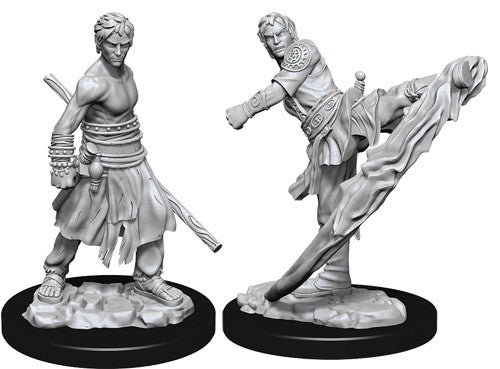 D&D Nolzur's Marvelous Unpainted Miniatures: W10 Male Half-Elf Monk