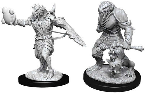 D&D Nolzur's Marvelous Unpainted Miniatures: W11 Male Dragonborn Paladin