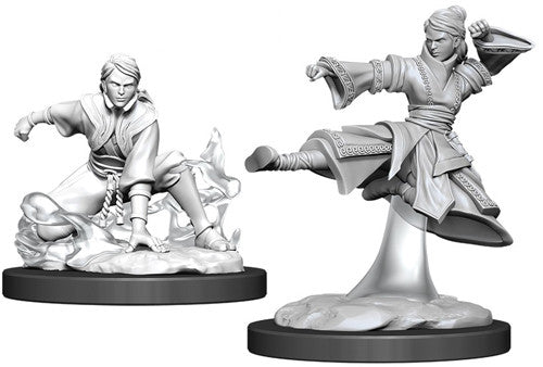 D&D Nolzur's Marvelous Unpainted Miniatures: W11 Female Human Monk