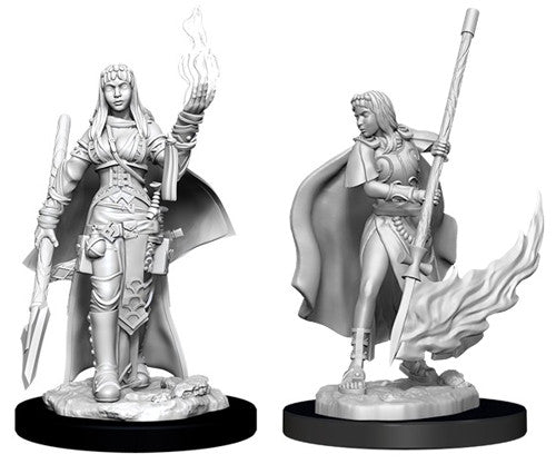 Pathfinder Battles Deep Cuts Unpainted Minis: W11 Female Human Oracle